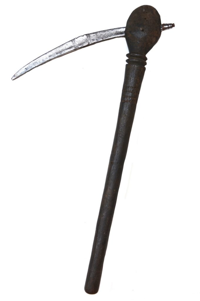 Herminette Dogon du Mali. Afrique de l'ouest.